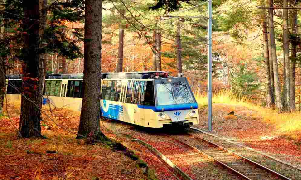 Treno del foliage