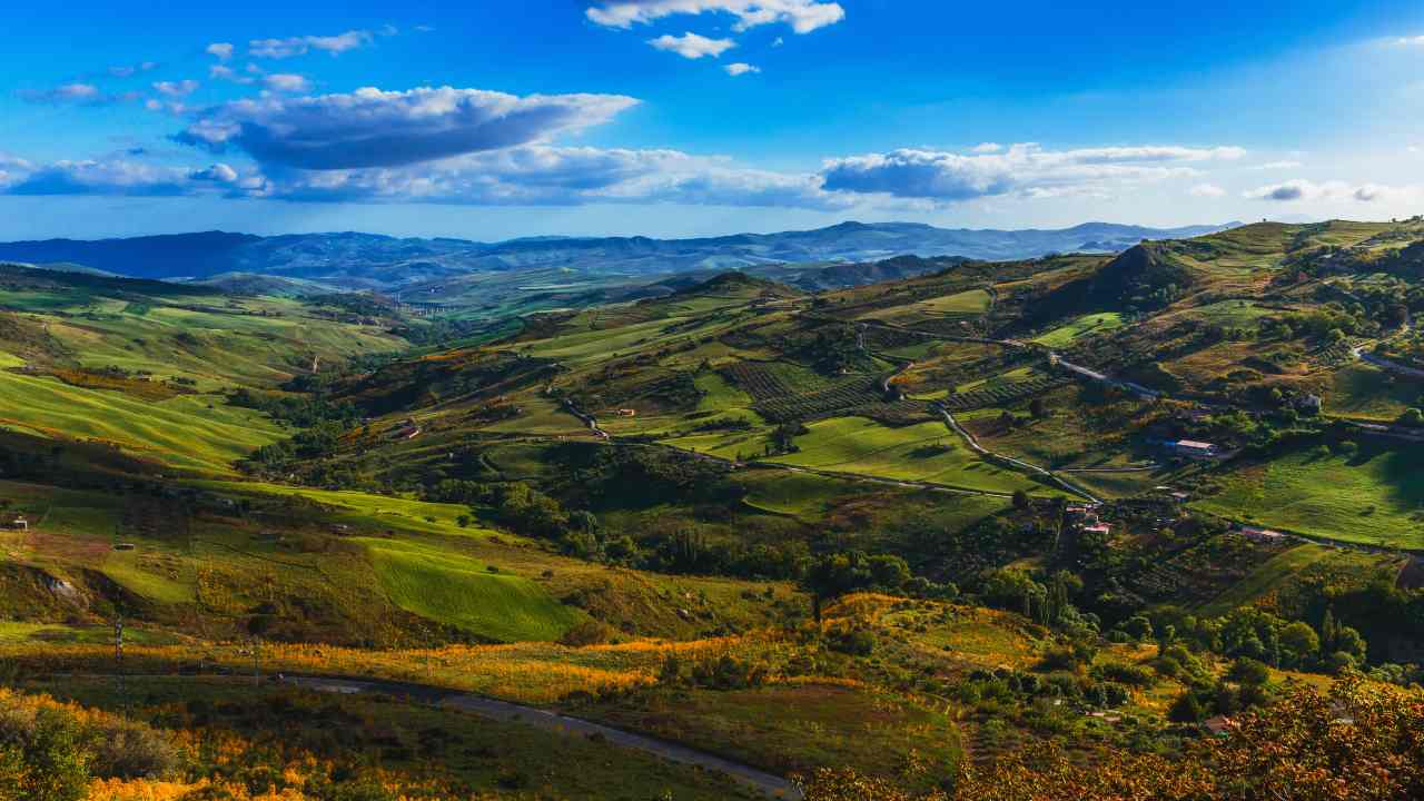 Il sentiero degli agrifogli giganti