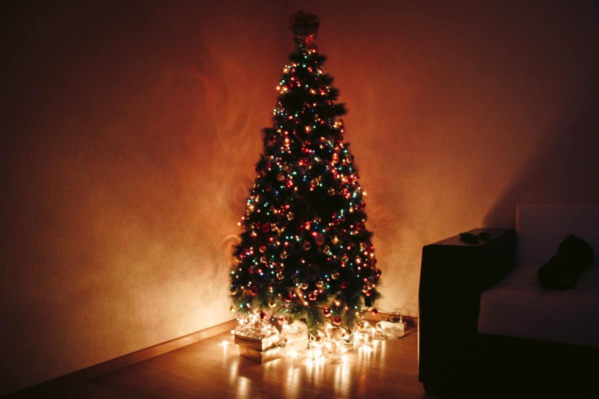 dove albero natale