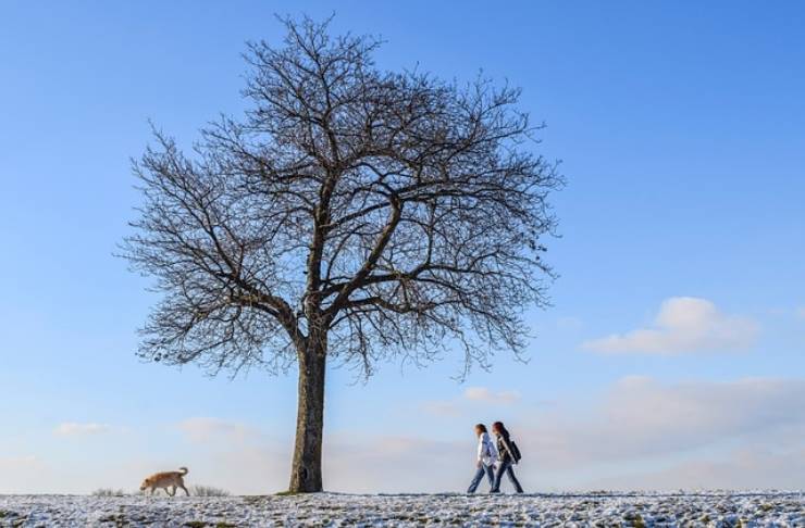 La passeggiata più bella da fare in inverno in Italia