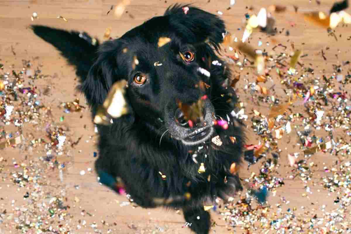 Gli auguri per il 1 gennaio