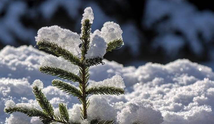 Come fare le foto in inverno