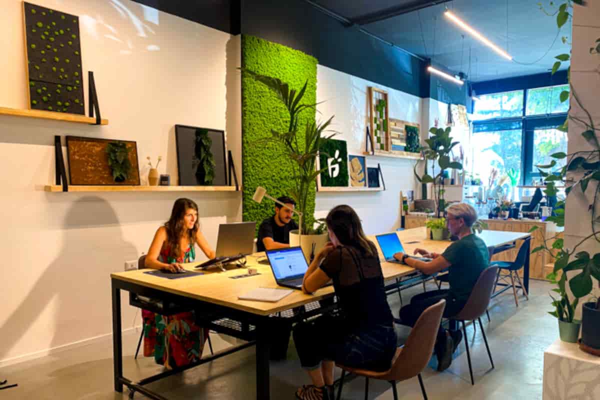 coworking verde roma