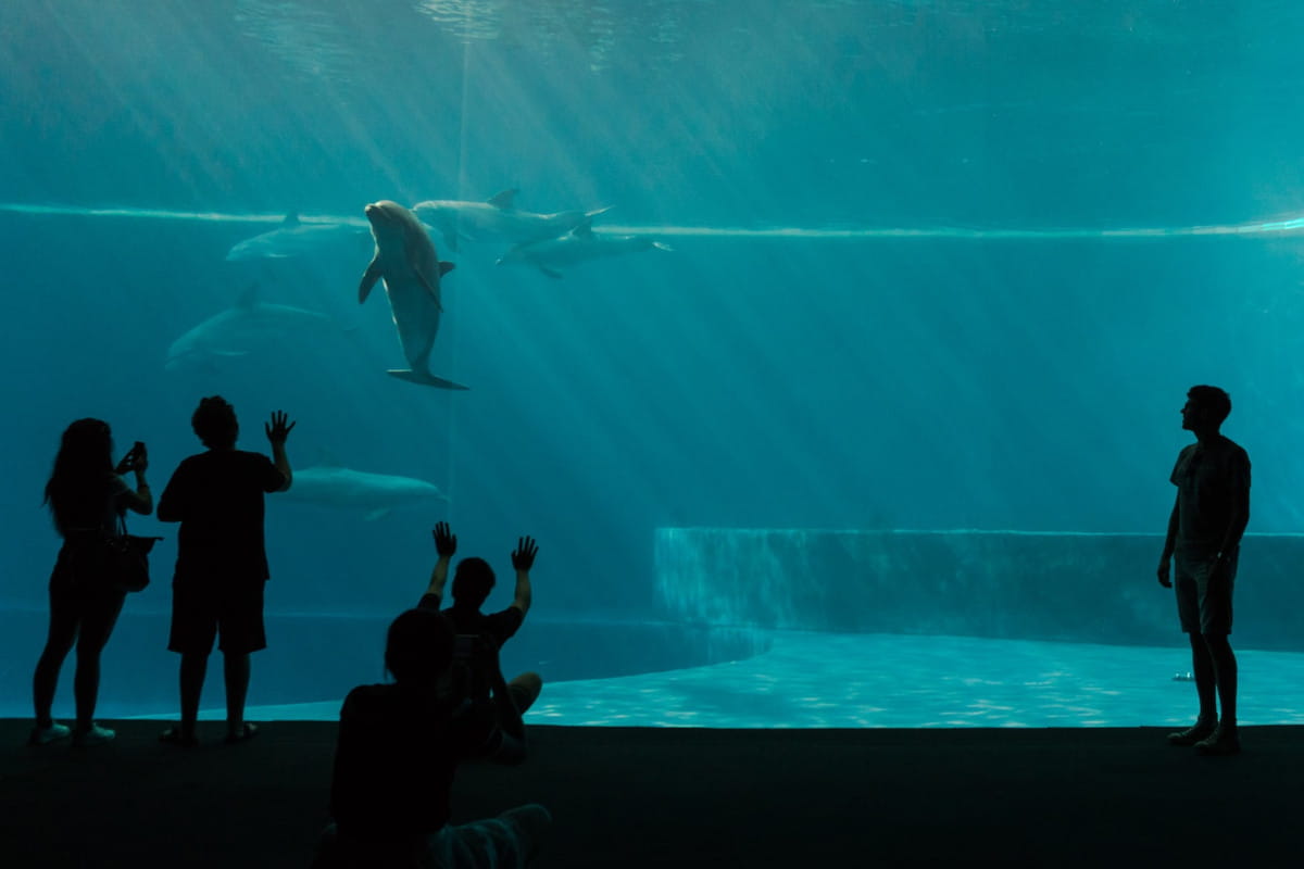 acquario genova famiglia