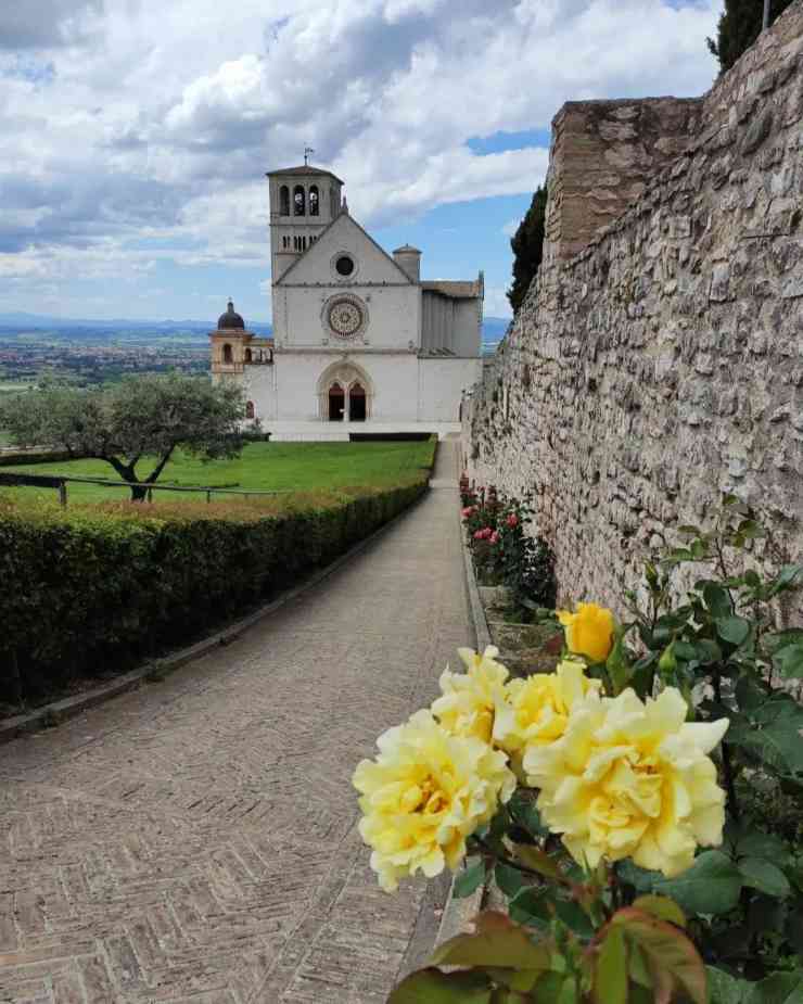 Bosco di San Francesco, perché visitarlo