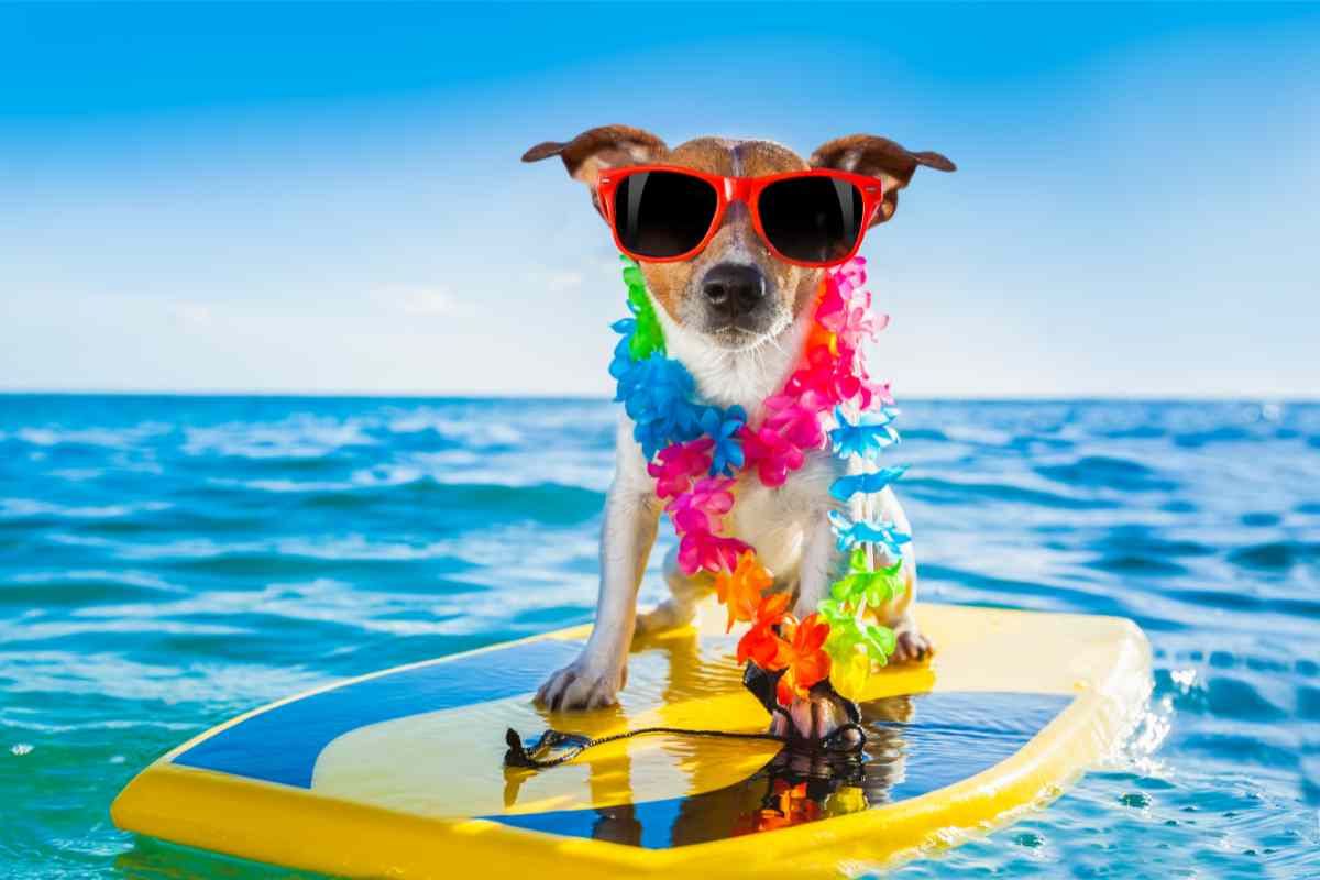 spiagge per le vacanze al mare con il cane