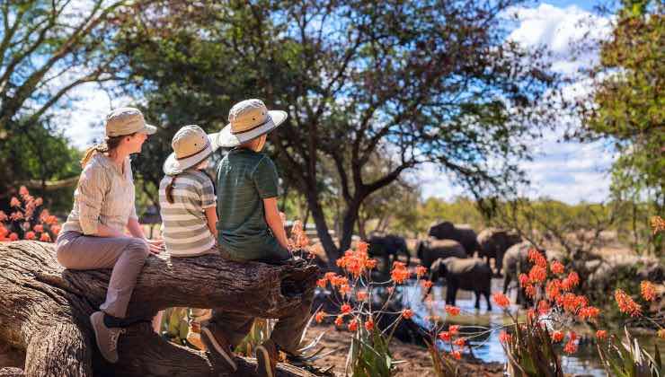 dove fare i migliori safari