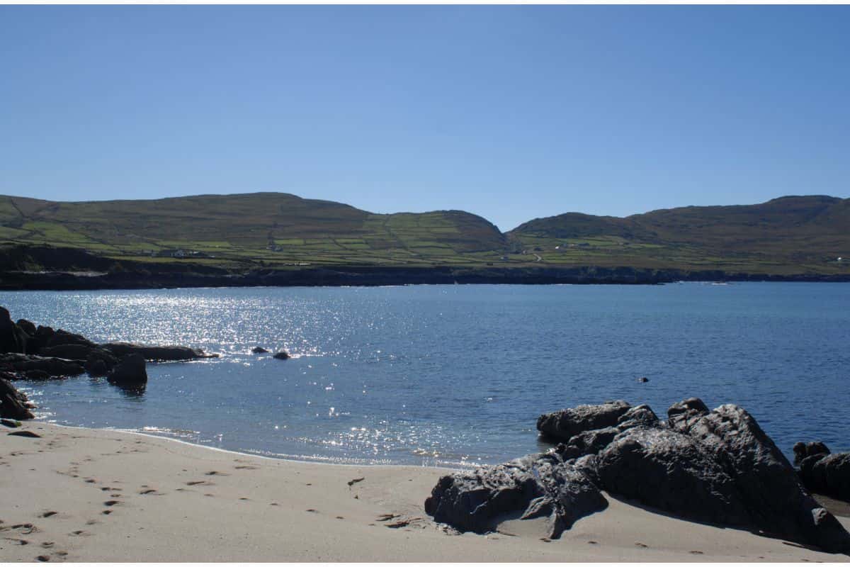 paradiso spiaggia delfini