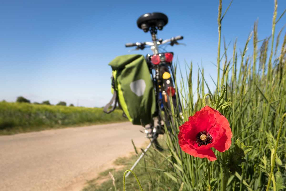 salento in bici