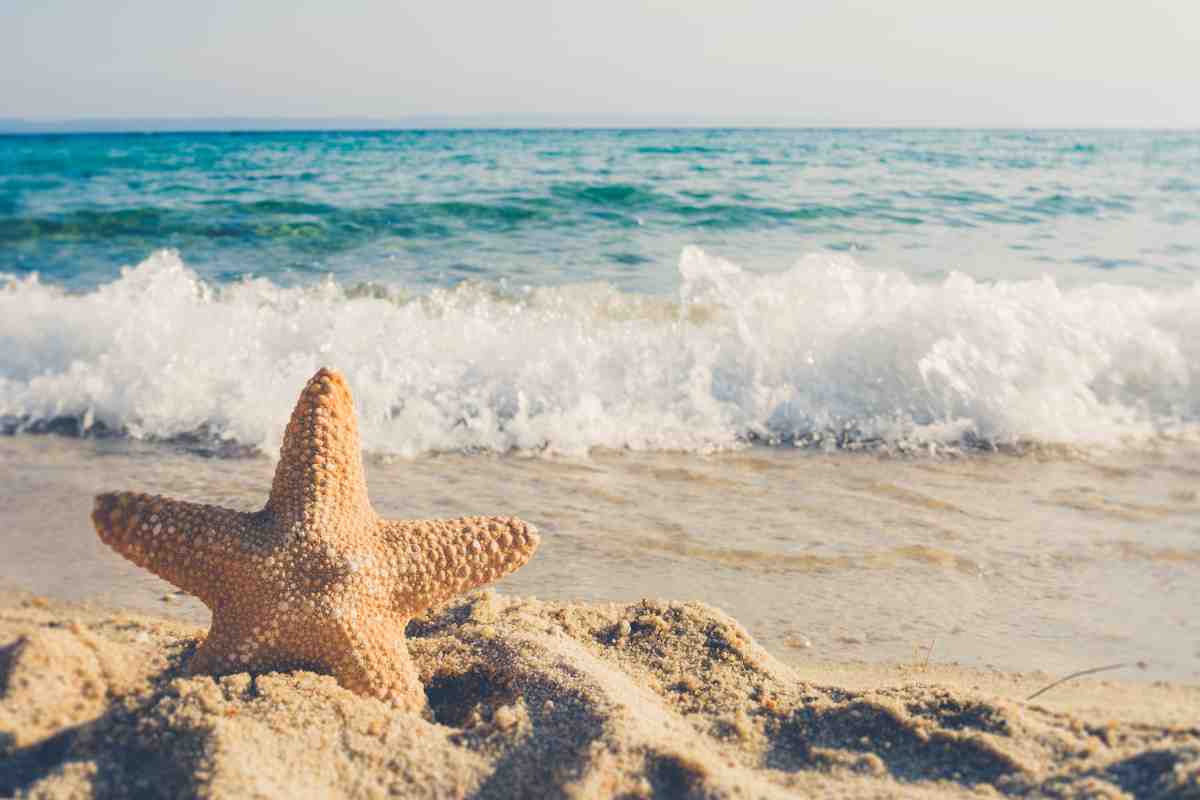 test personalità spiaggia