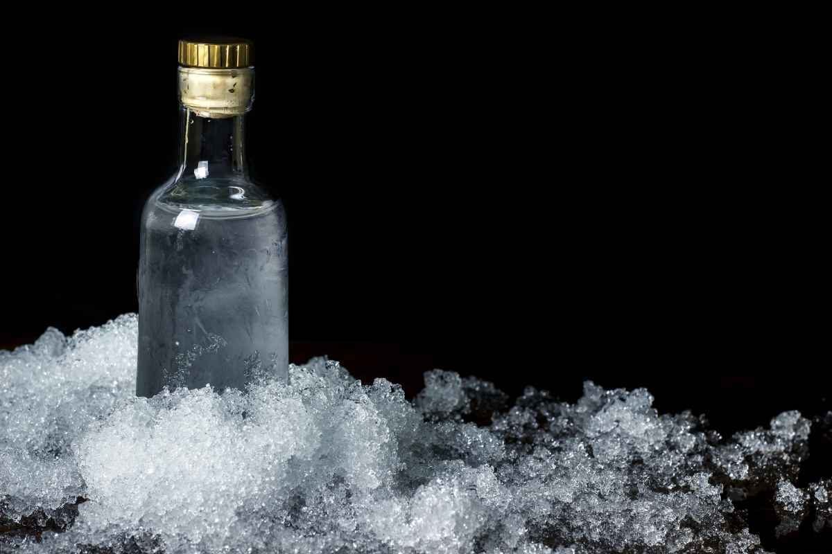 Vodka contro le punture di meduse