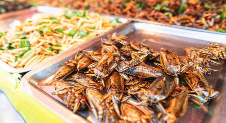 Mercati d'insetti in Thailandia 