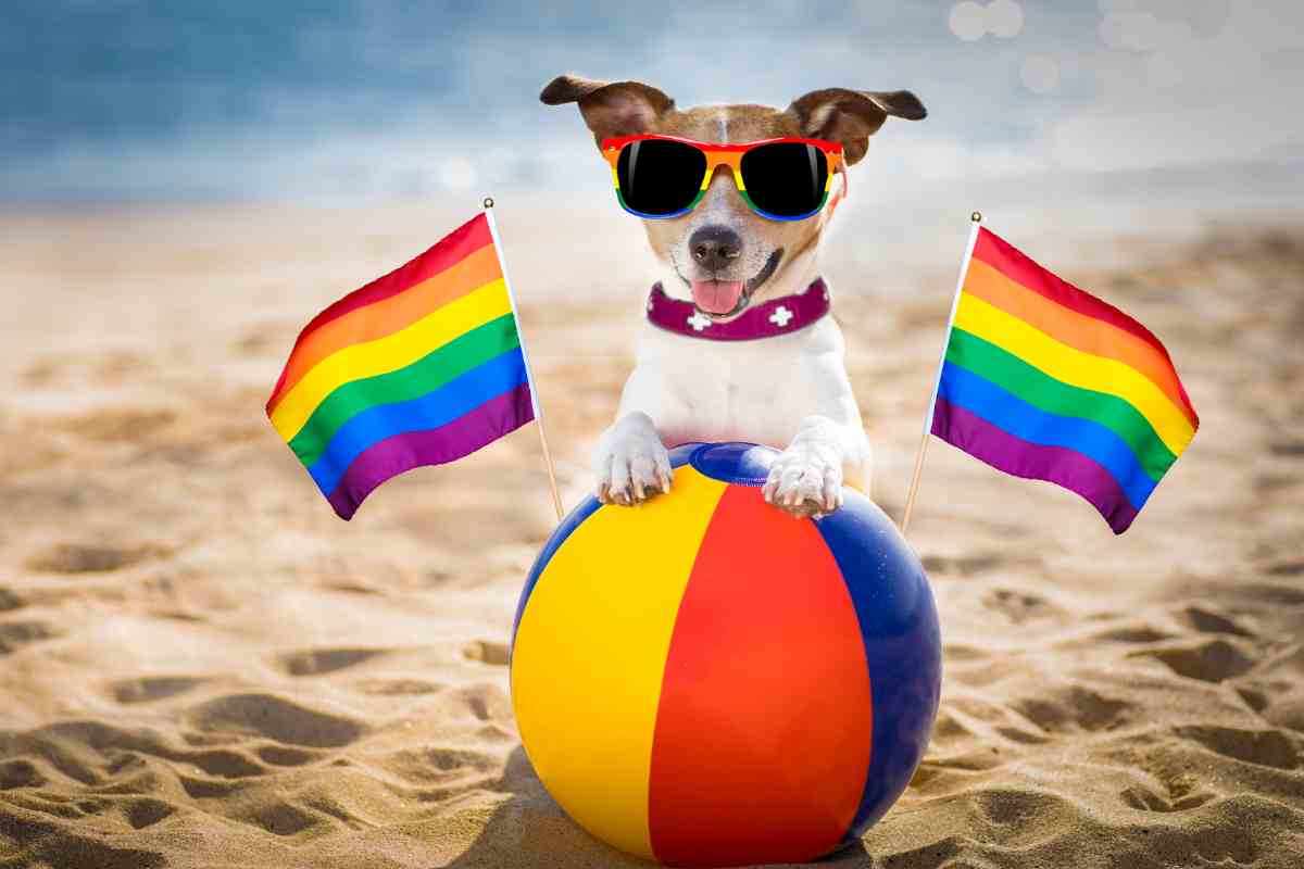 mete vacanze LGBTQ+