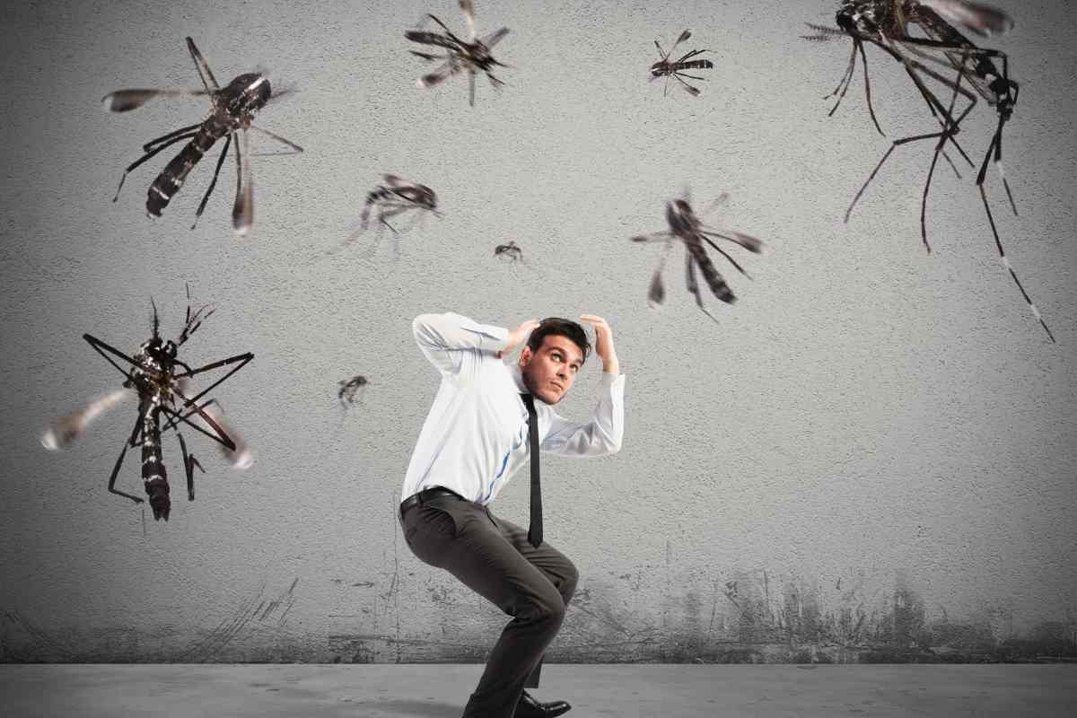 I 3 rimedi fai da te contro le zanzare