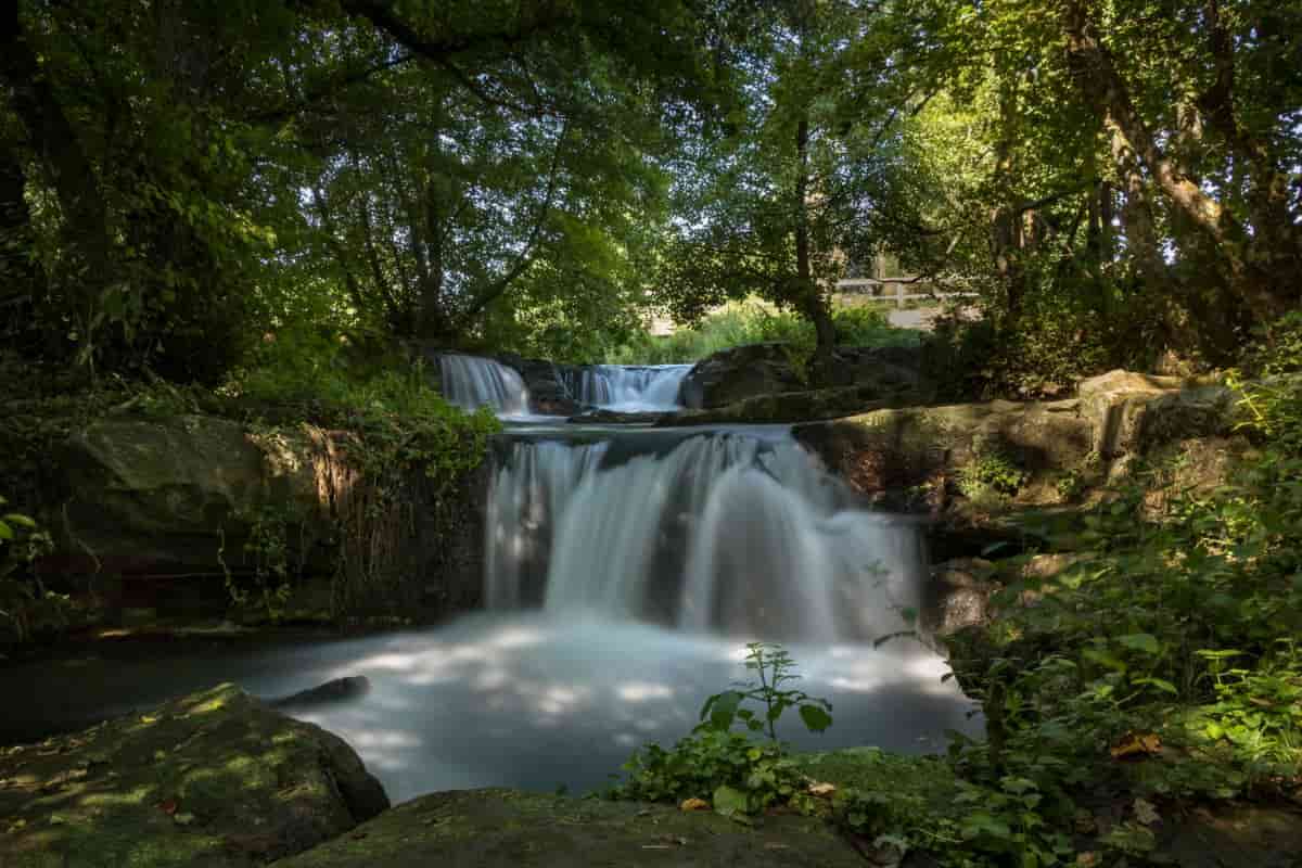 roma cascata bosco