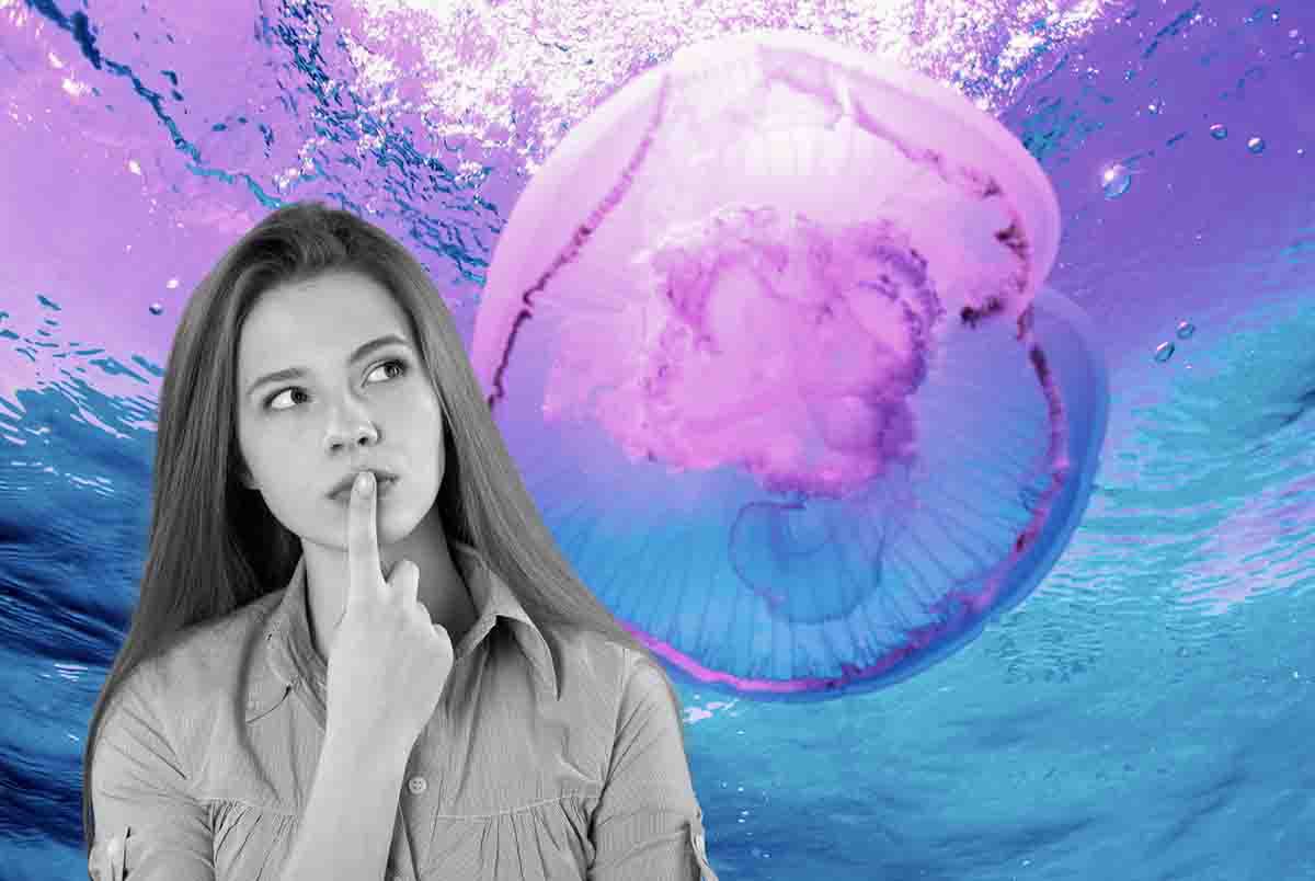 Rimedio anti medusa: parla esperta
