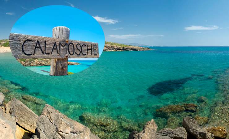 spiaggia calamosche